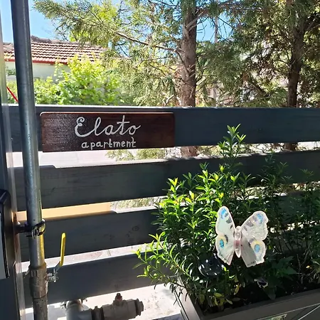 Elato Флорина